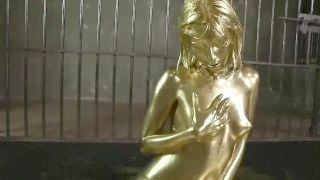 Abg - 001 (gold Paint 0nly)