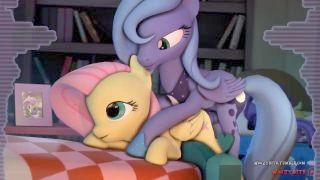 Mlp Porn Collection (summer Collection)