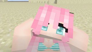 Minecraft Walk On The Beach [pov / Hd Skin]
