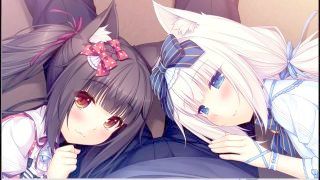 Asmr — Neko Hottie 【ear Cleaning】 【ear Licking】 【ear Blowing】