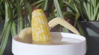 Superb Steamy Hardcore Corn